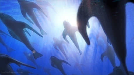 Underwater_Light_and_Bubbles_by_Della_Stock