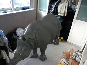 rhino in my room