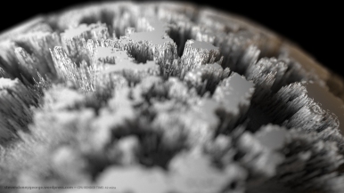 VRay_CPU_42mins_Displacement_Render_w_Physical_Camera_001